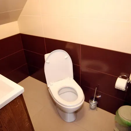 Zatyshok Nad Prutom Bukowel