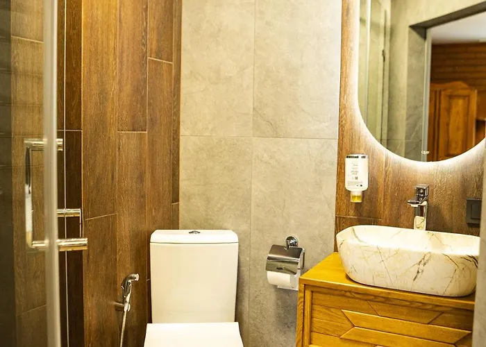 扎提硕克酒店 酒店 *