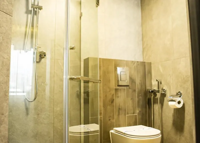 扎提硕克酒店 酒店 *