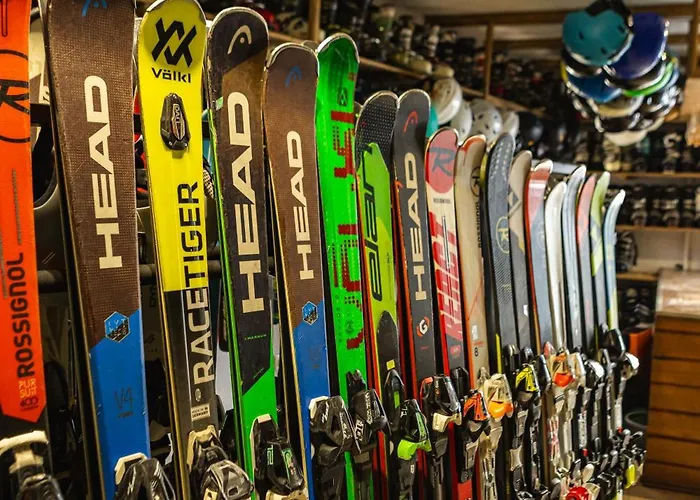 扎提硕克酒店 酒店 *