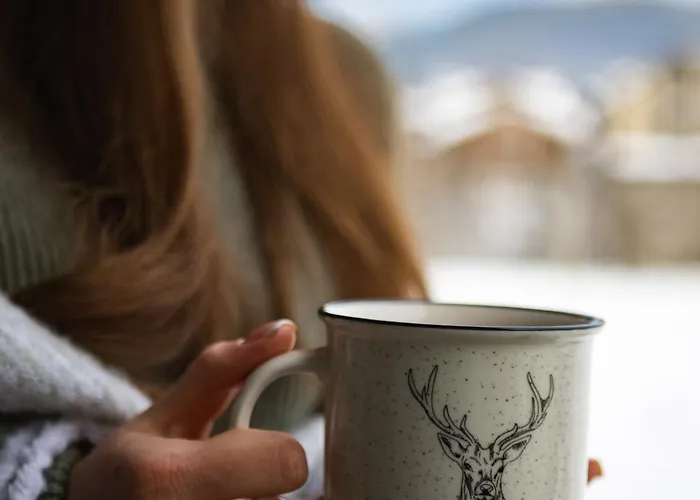 酒店 扎提硕克酒店