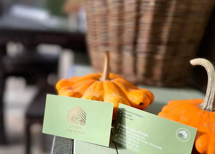 扎提硕克酒店 *